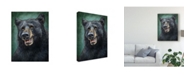 Trademark Global Patrick Lamontagne Black Bear Totem Canvas Art - 20" x 25"